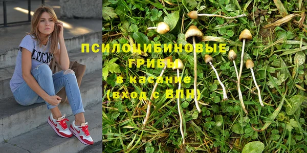 мет Надым