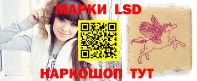 шишки Заволжье