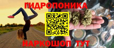 молекула духа Жуковский