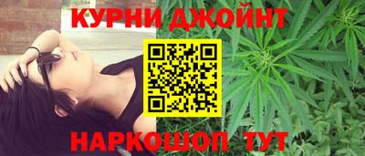 шишки Заволжье
