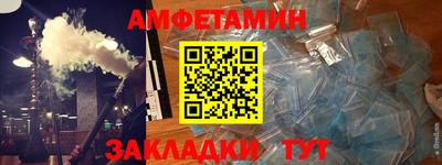 шишки Заволжье