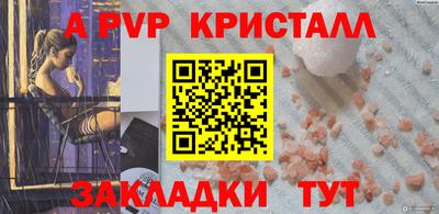 шишки Заволжье