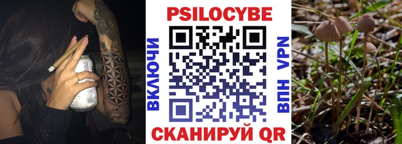 ОМГ ОМГ онион  Новоалтайск  Псилоцибиновые грибы мухоморы 
