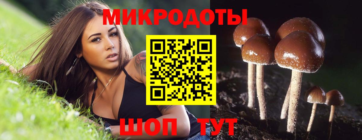 Псилоцибиновые грибы Cubensis Новоалтайск