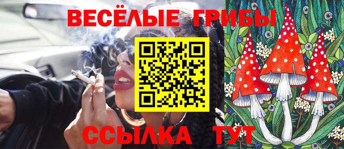Галлюциногенные грибы мухоморы  Псилоцибиновые грибы ЛСД  продажа наркотиков  Вход с VPN  Новоалтайск 